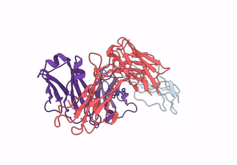 8SXP image