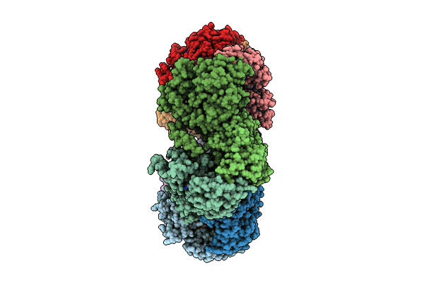 8SXX image
