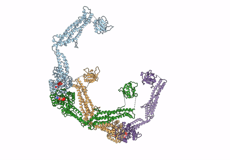 8SXZ image
