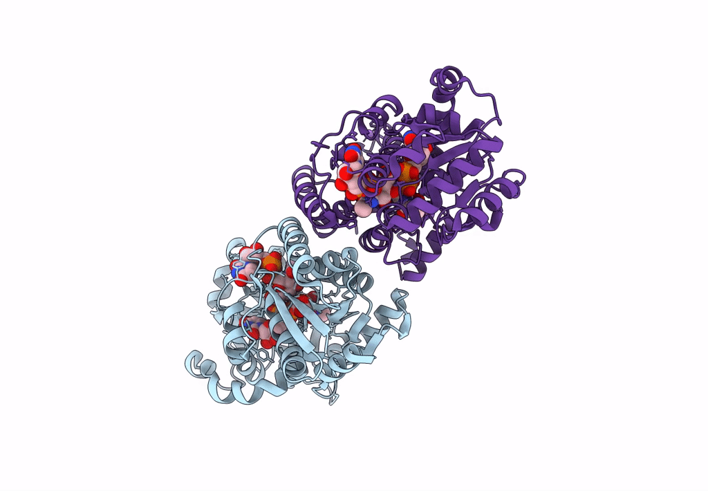 8SYB image