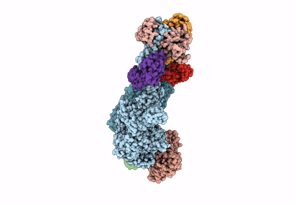 8SYF image