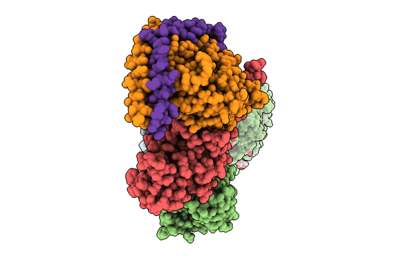 8SZI image