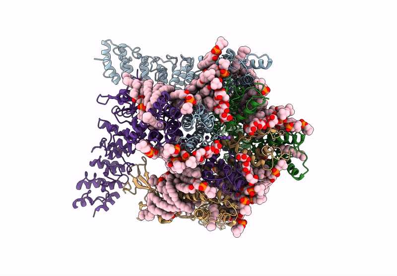 8T1B image