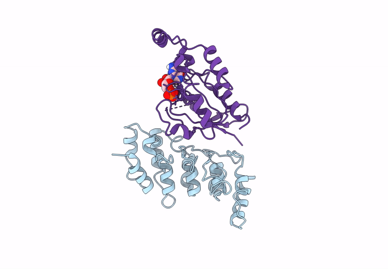 8T1C image