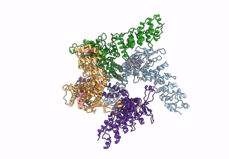 8T1D image