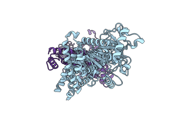8T1H image