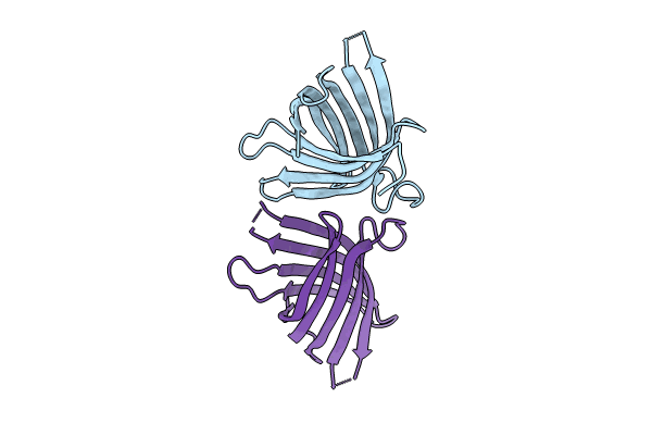 8T1M image