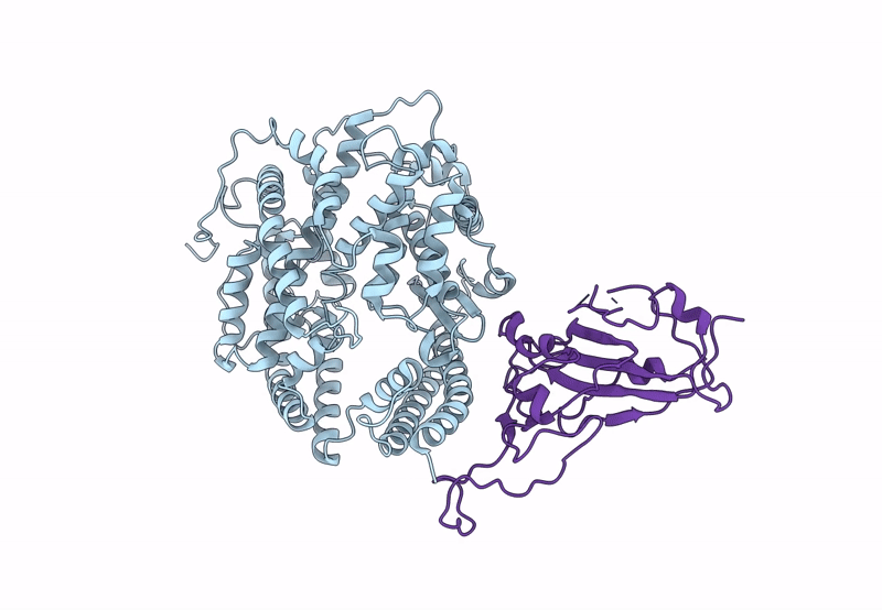 8T25 image
