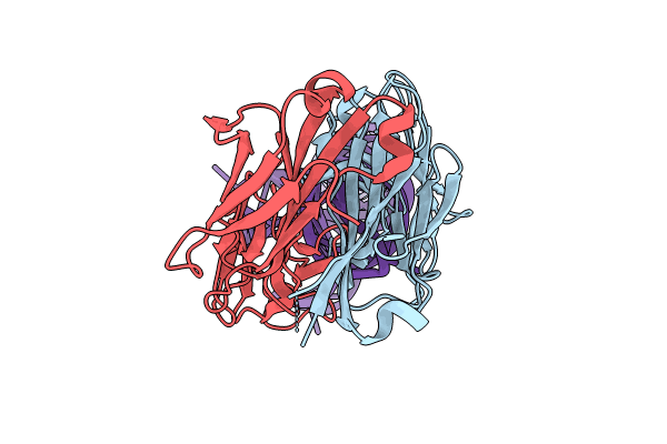 8T2A image