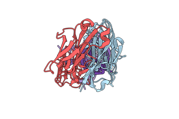 8T2B image