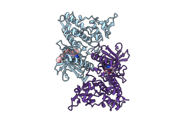 8T2H image