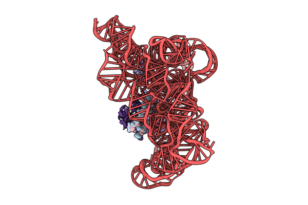 8T2R image