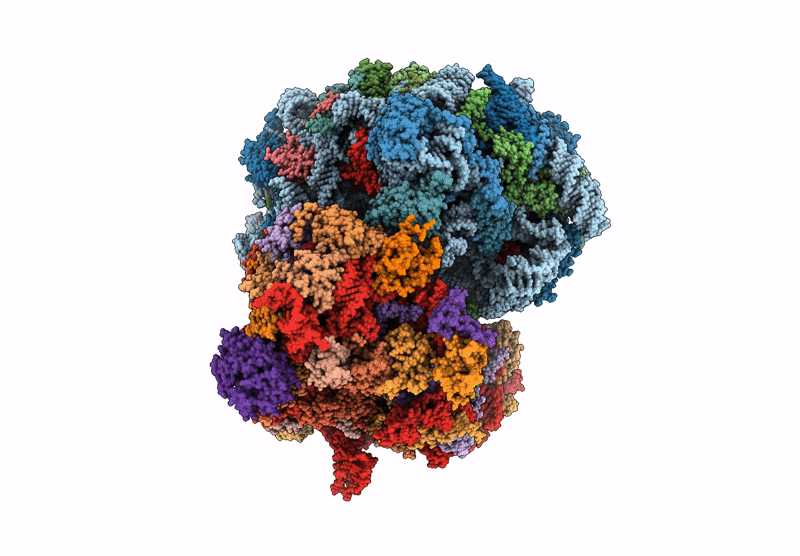 8T30 image