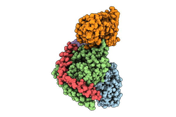 8T3V image