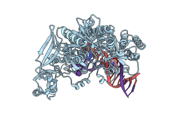 8T3X image