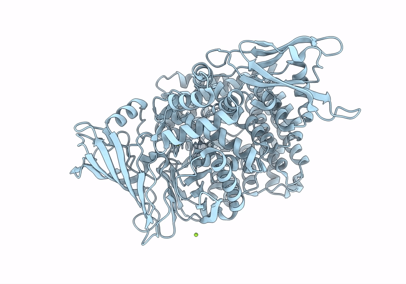 8T41 image