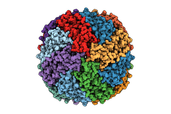 8T4Q image