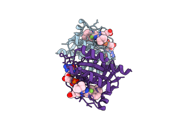 8T4V image