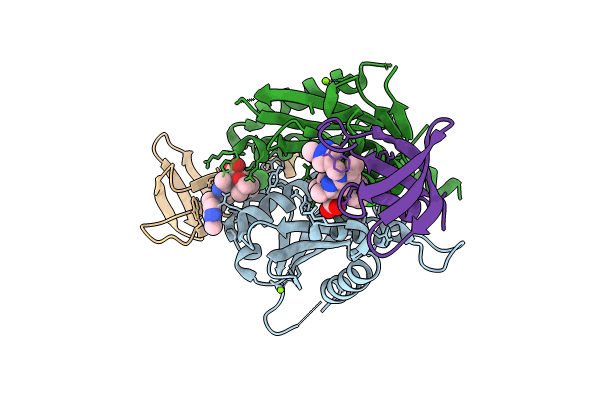 8T5B image