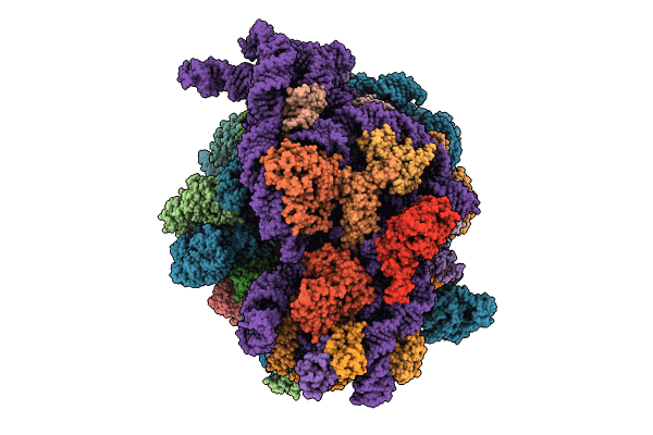 8T5D image