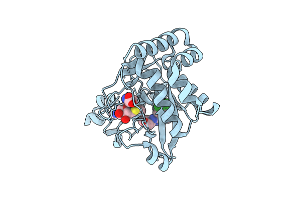 8T68 image