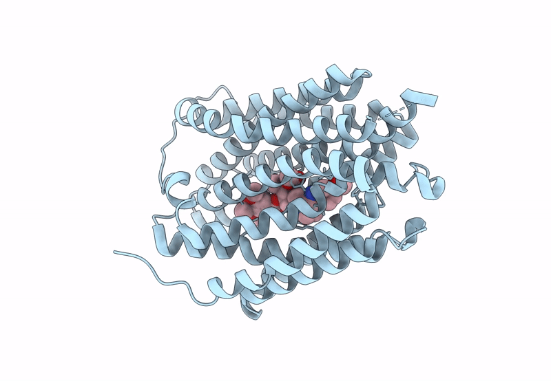 8T6A image