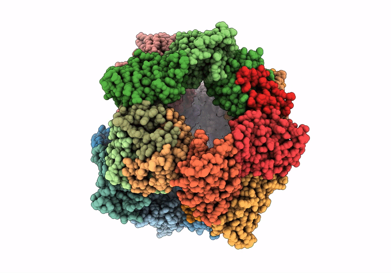 8T6E image