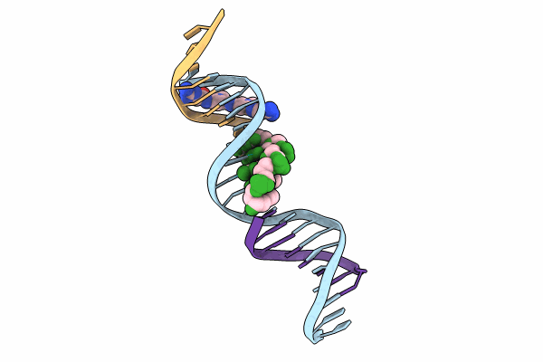 8T7B image
