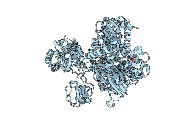 8T7C image