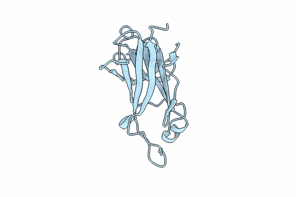 8T7K image