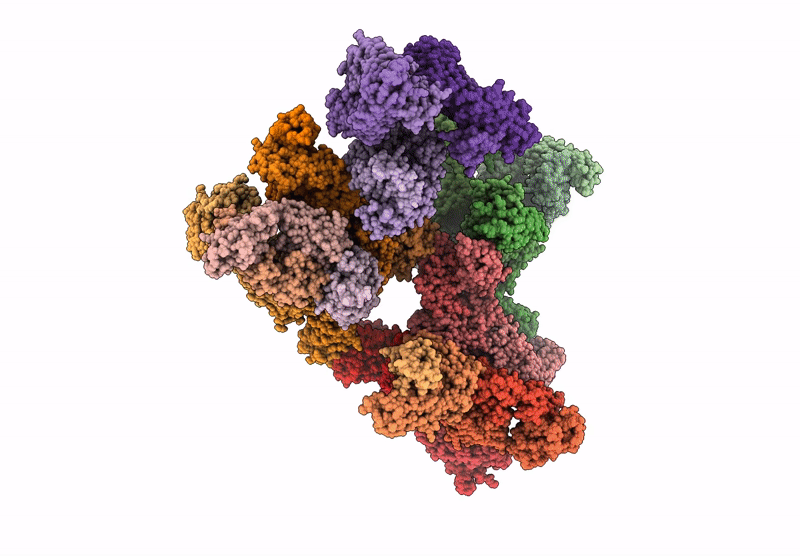 8T7R image