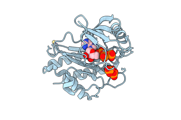 8T8W image