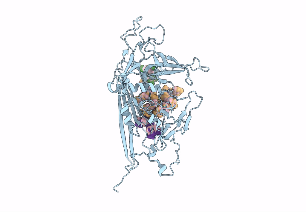 8T9C image