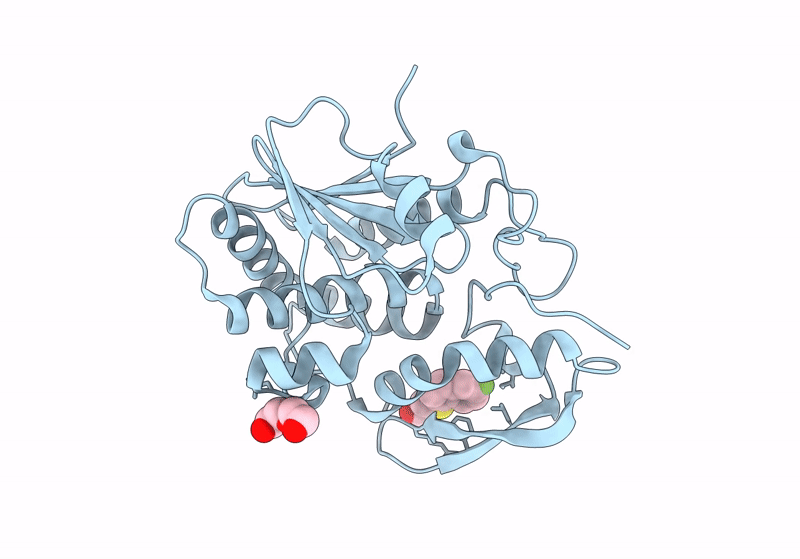 8T9V image