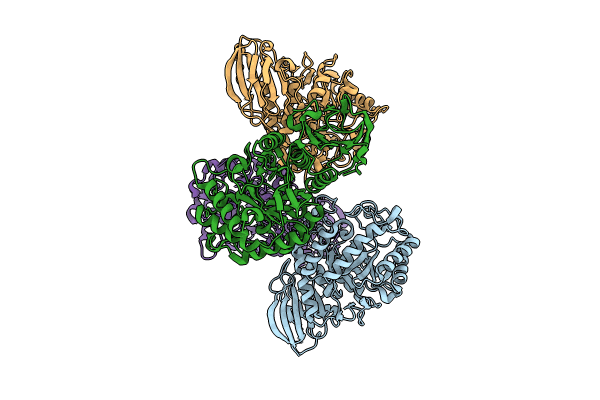 8T9W image