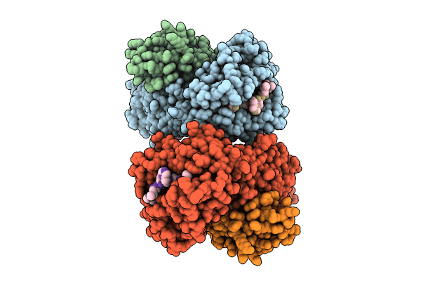 8TBV image