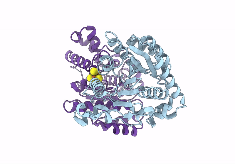 8TC3 image