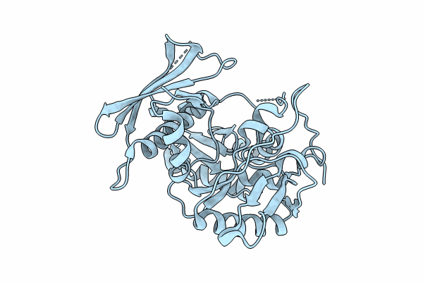 8TCK image