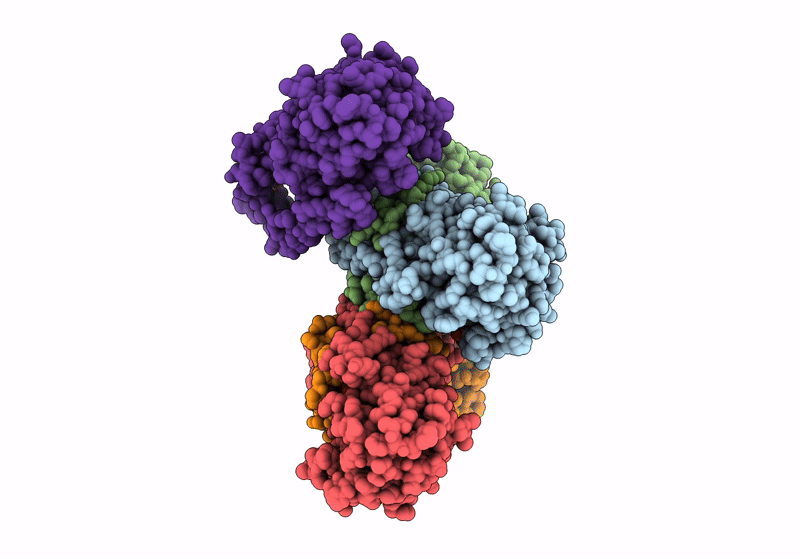 8TCX image