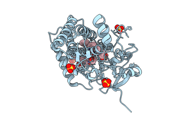 8TDP image