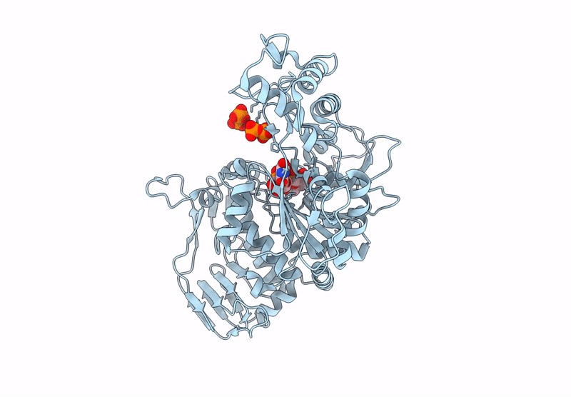 8TG2 image