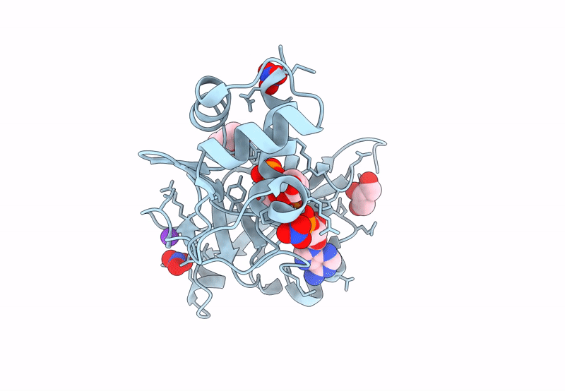 8TG3 image