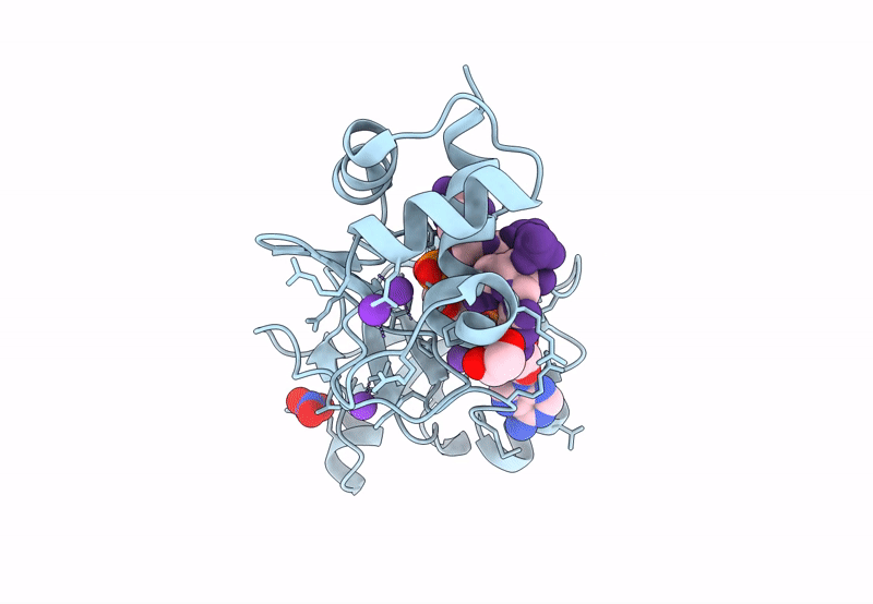8TG4 image