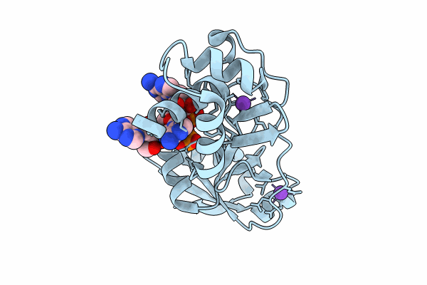 8TG5 image