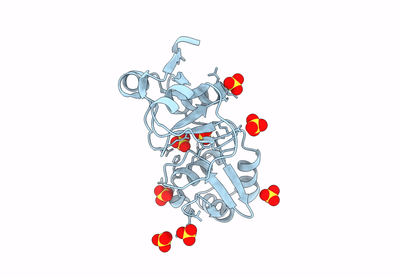 8TG6 image