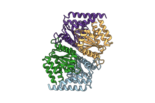8TIA image