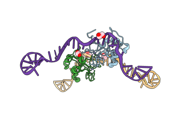 8TLK image