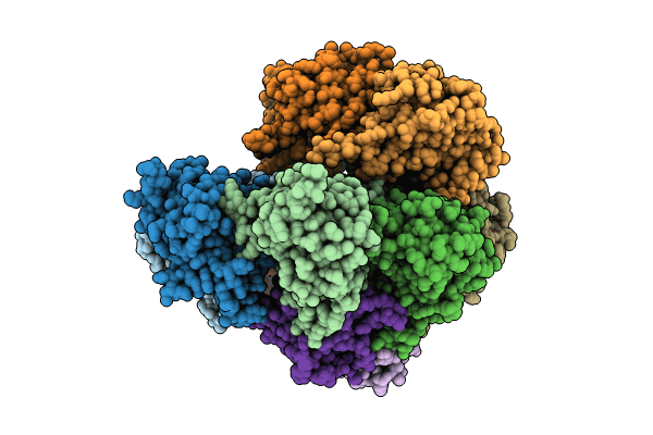 8TM3 image