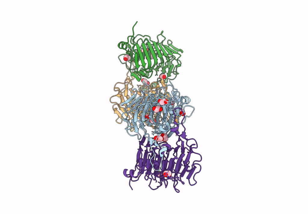 8TMS image