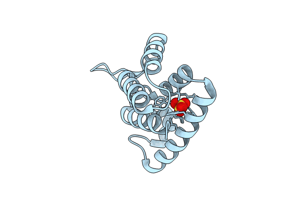 8TMW image